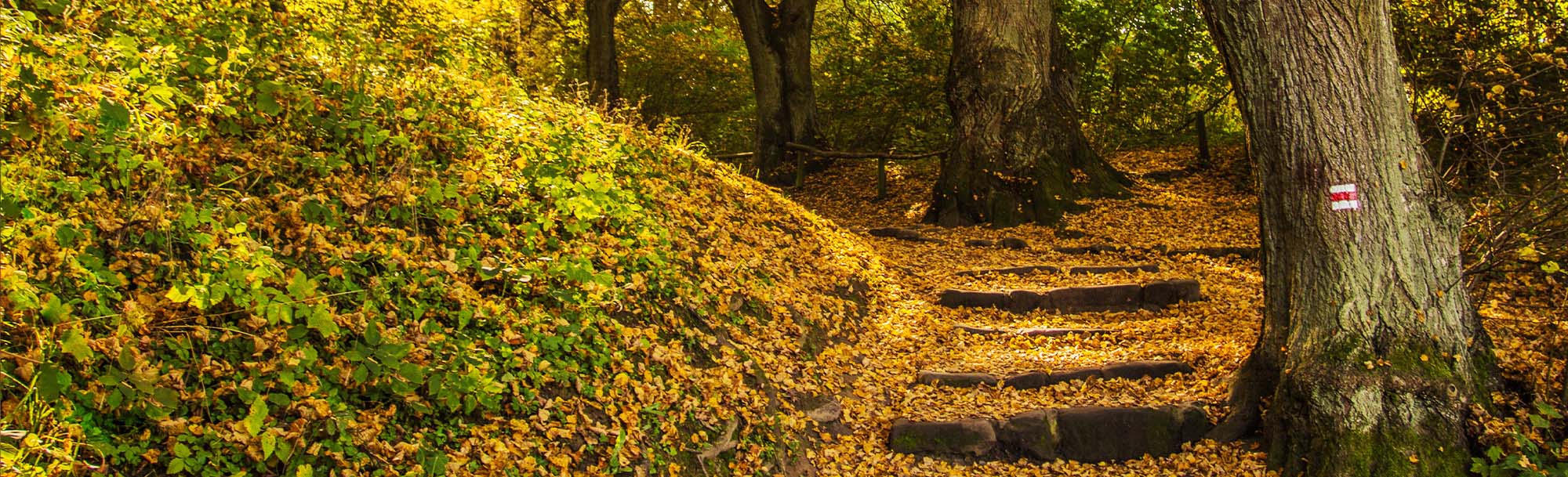 Truck Repair Near Denton, MD M&L Truck Service